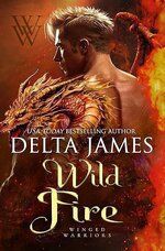 Delta James - Winged Warriors 02 - Wild Fire.jpg